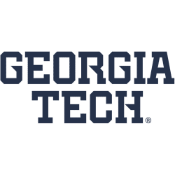 Georgia Tech Yellow Jackets Wordmark Logo 2026 - Present